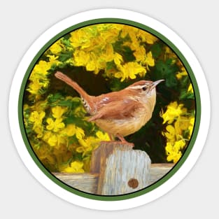 Carolina Wren Painting - Cute Original Bird Art Sticker